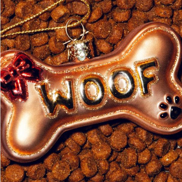 Ornament Glass Dog Bone