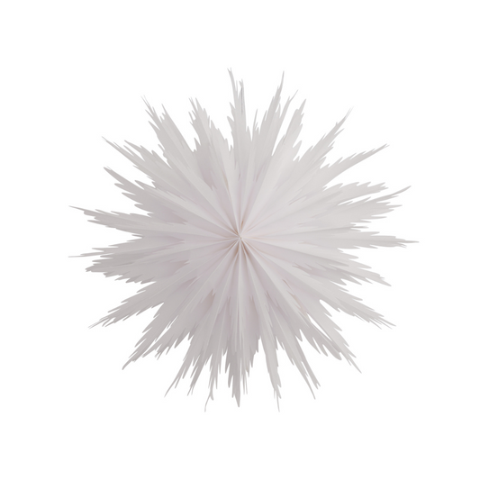 Liz Papirstjerne - White