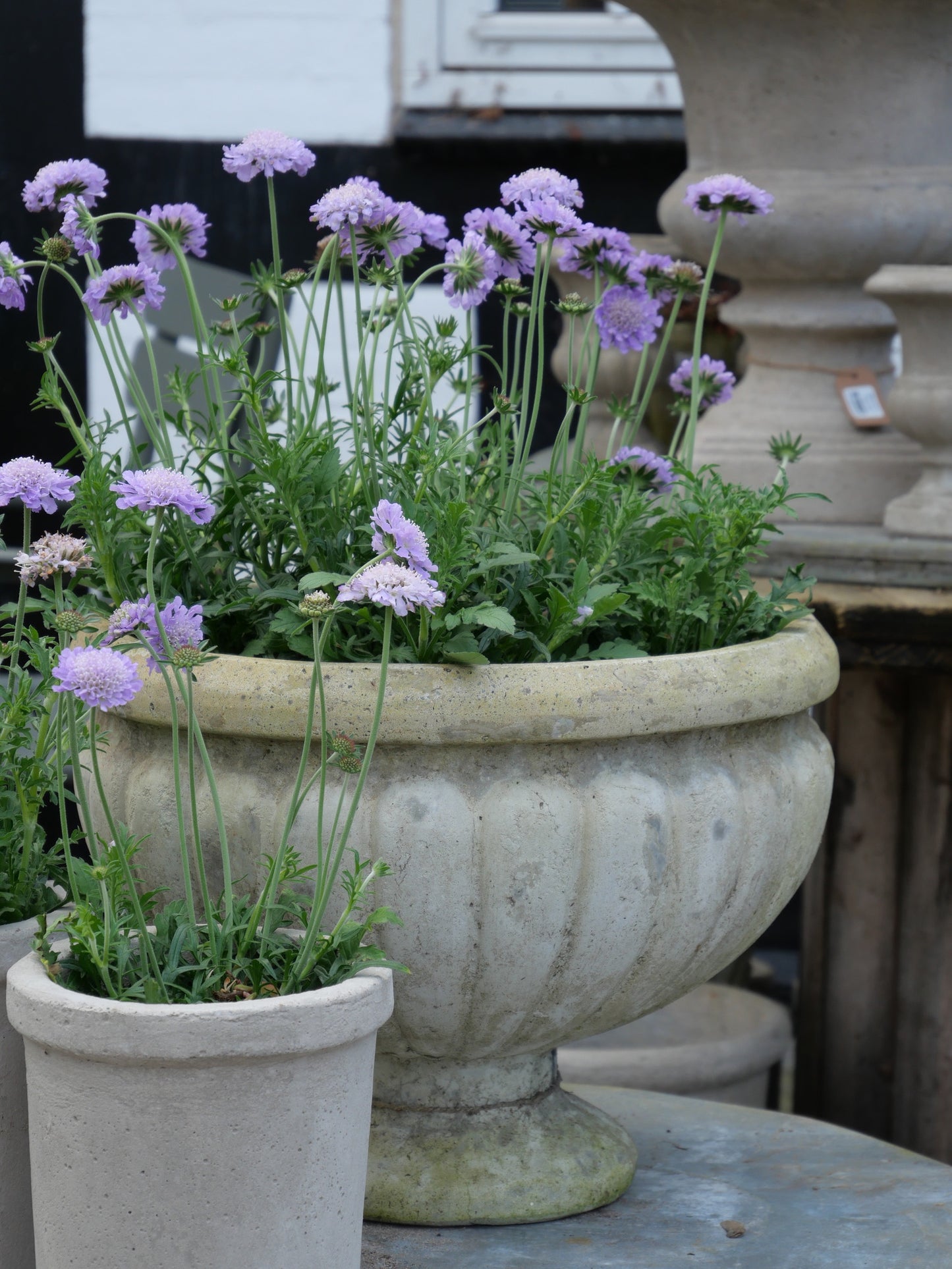 Blomster & Krukkeweekend 18. -19. april