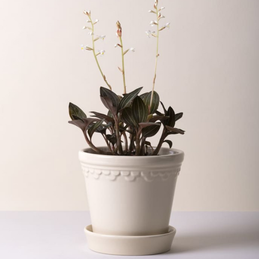 Københavner GLAZED Sand Stone