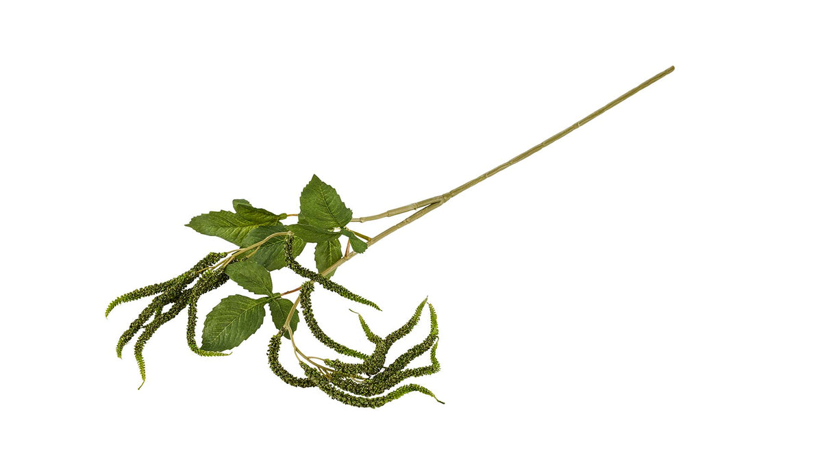 Silkeblomst Raklegren 90 cm Grøn