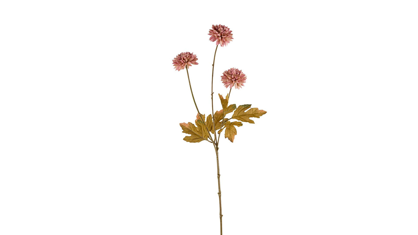Silkeblomst Chrys. 58 cm Pink