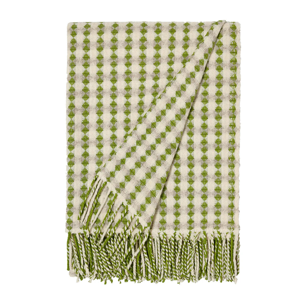 Azulejo Plaid