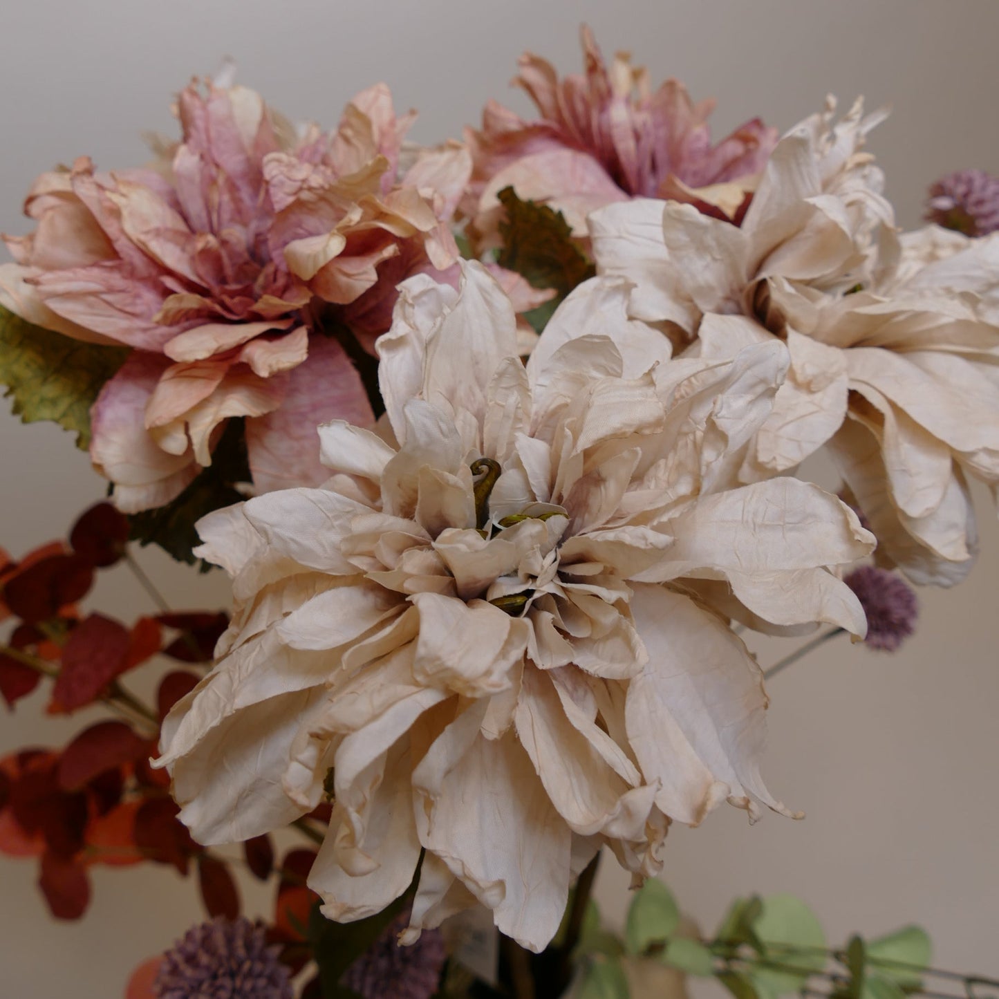 Dahlia Alauna Flower Nude