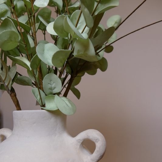 Eucalyptus Ivy