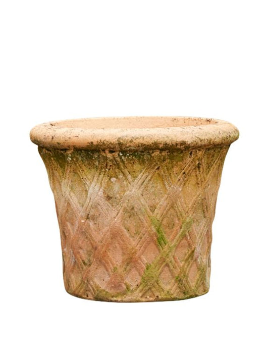 Harlequin Terracotta
