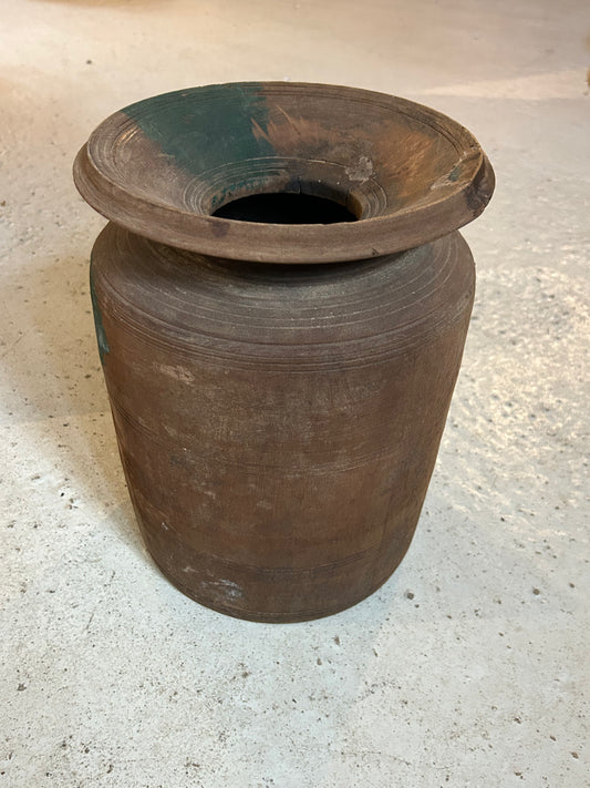 Indisk Træ Mælkejunge