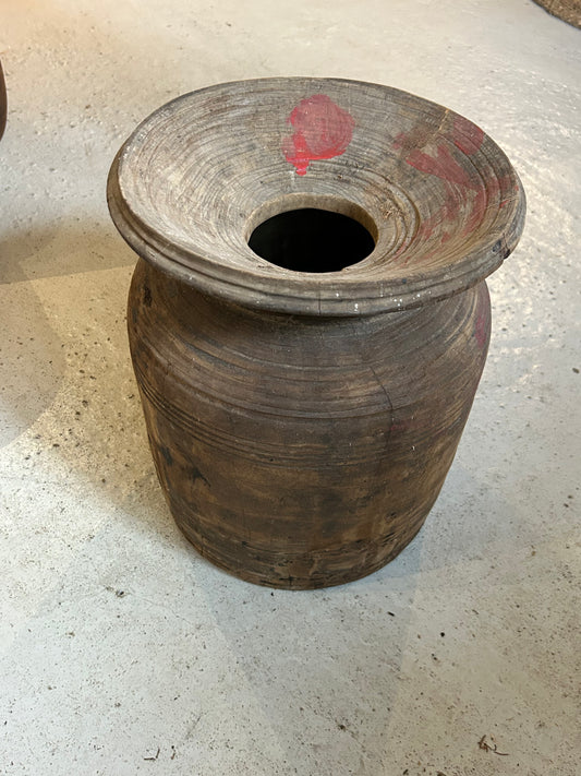 Indisk Træ Mælkejunge