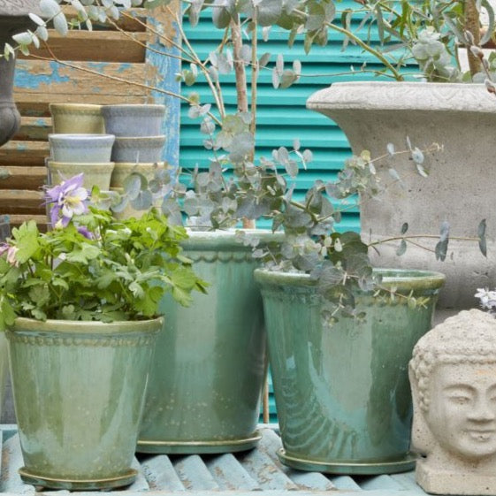 Lacepot Green