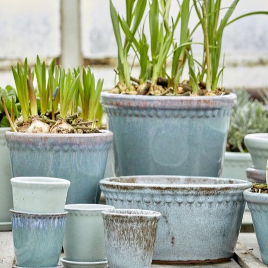 Lacepot Low Blue Mix