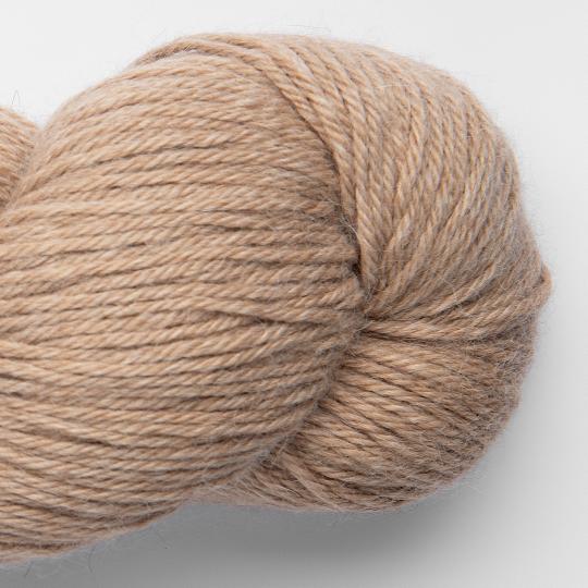 Puna baby Alpaca