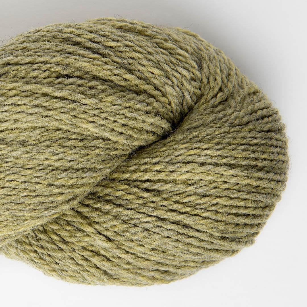 Amano Riti Merino