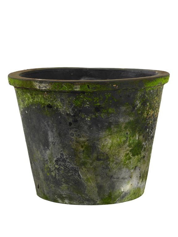 Krukke Sabina - Den Gamle Mølle