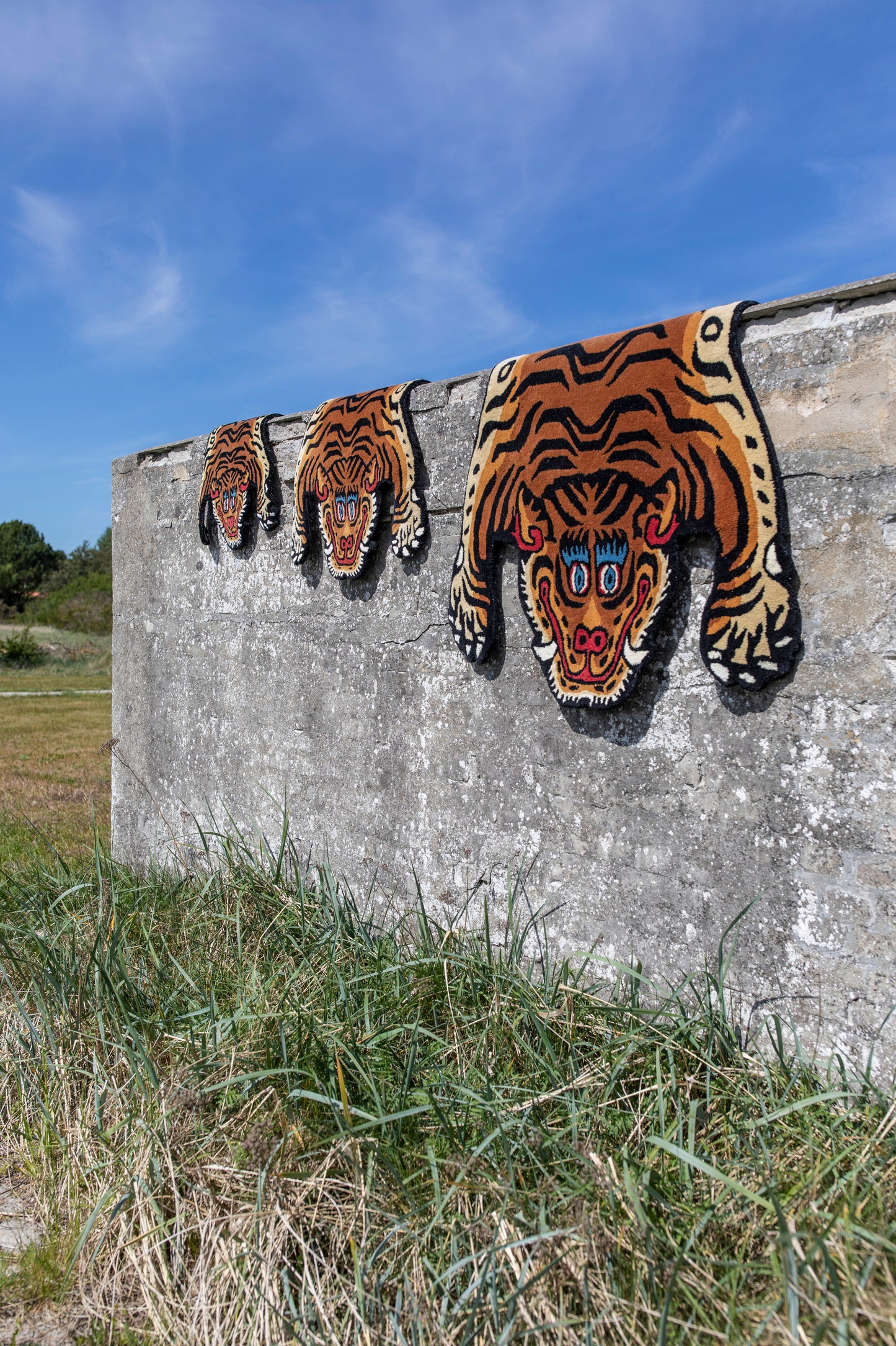 Tiger Rug Large