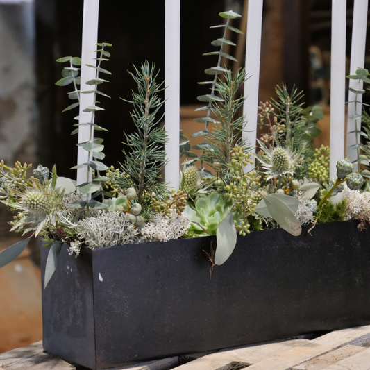 Esther Jernform rektangulær