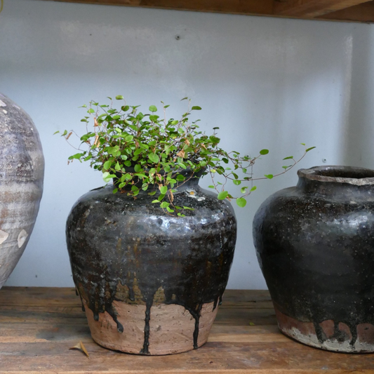 Indisk Keramik Krukke glaseret