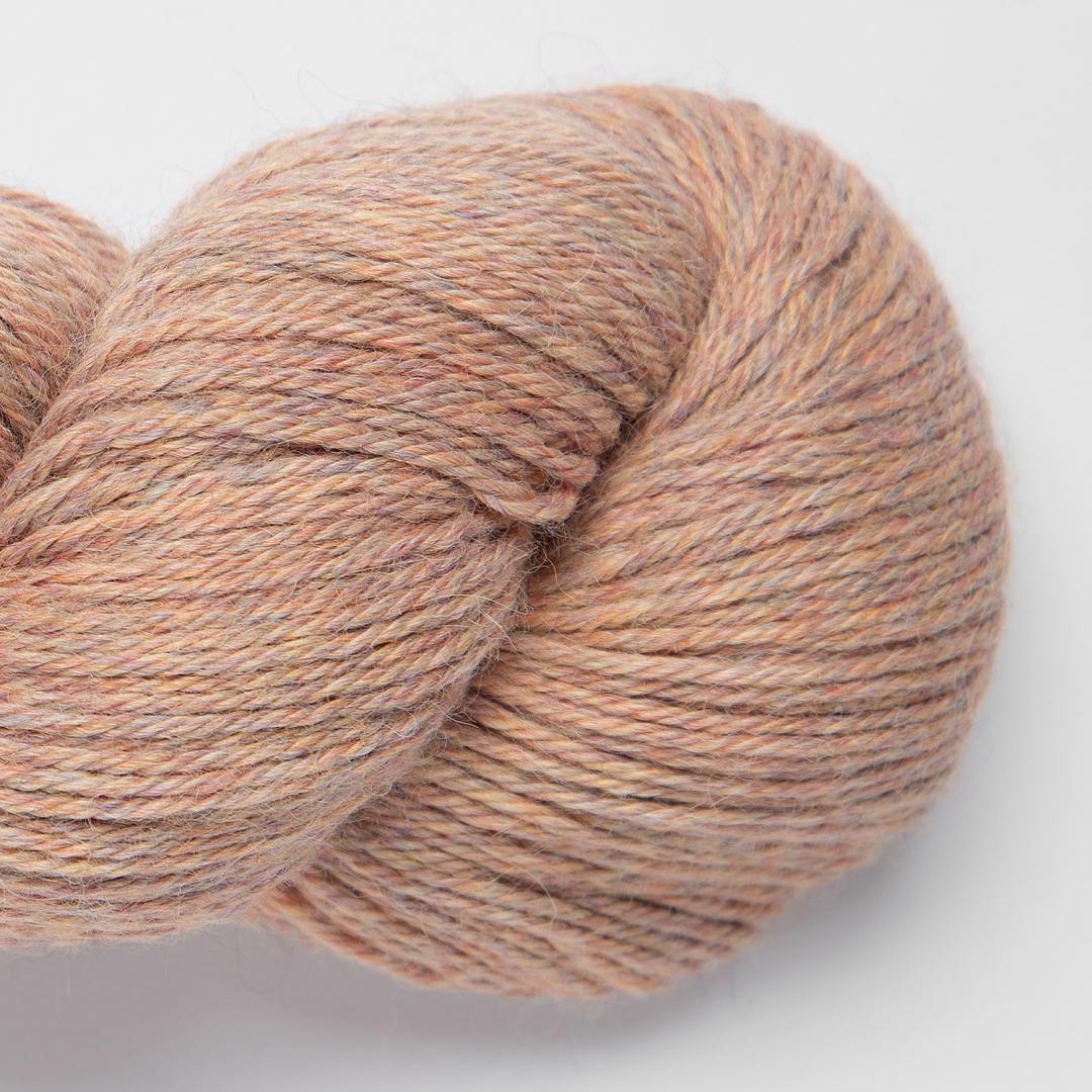 Puna baby Alpaca