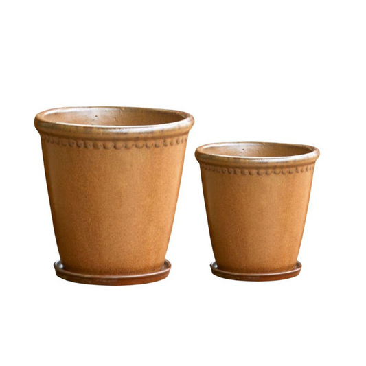 Lacepot Unique Mustard