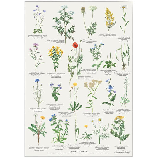 Plakat med Naturmotiver