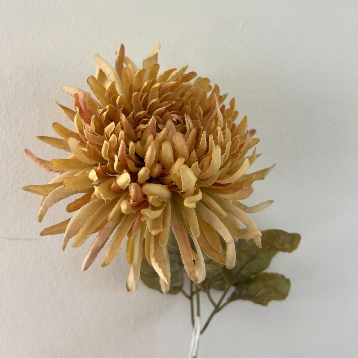Silkeblomst Chrys H:17 cm Gylden