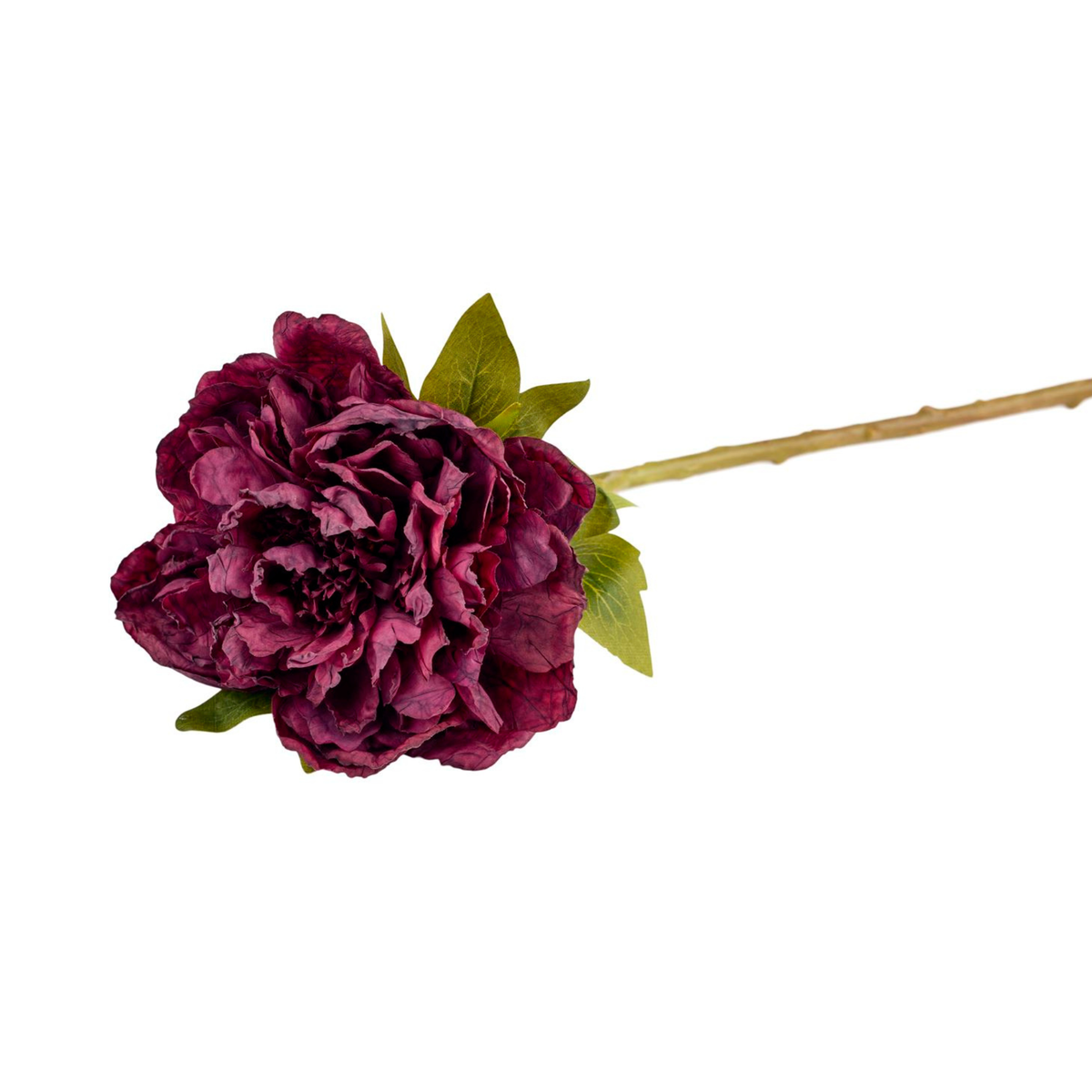 Silkeblomst Pæon H:45 cm Bordeaux