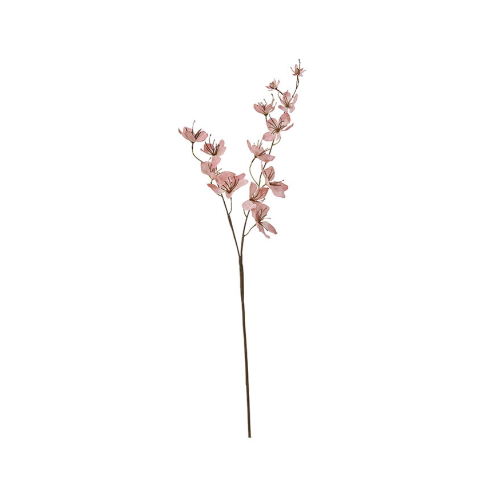 Jasmin Flower Old Rose