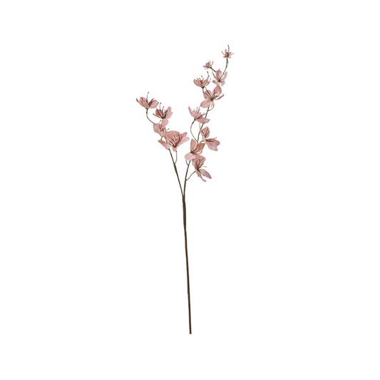 Jasmin Flower Old Rose