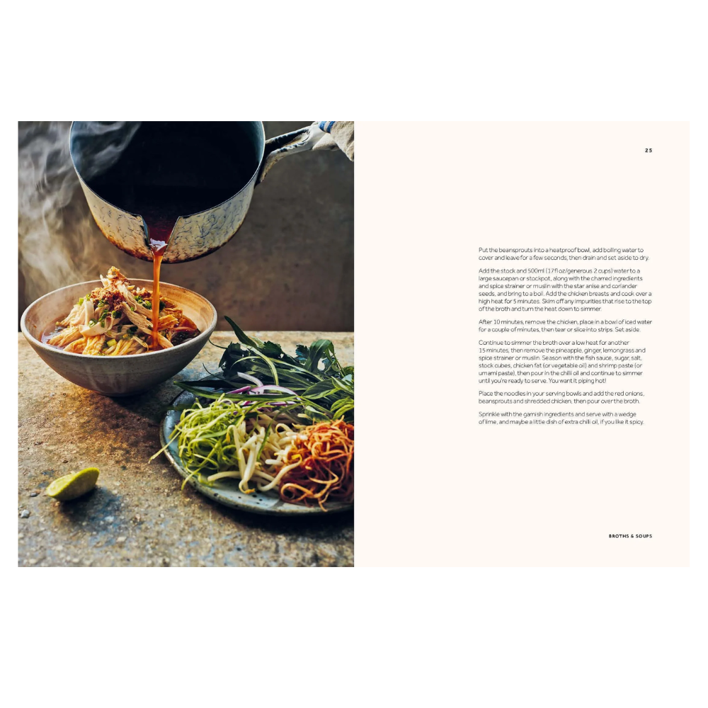 Vietnamese Made Easy