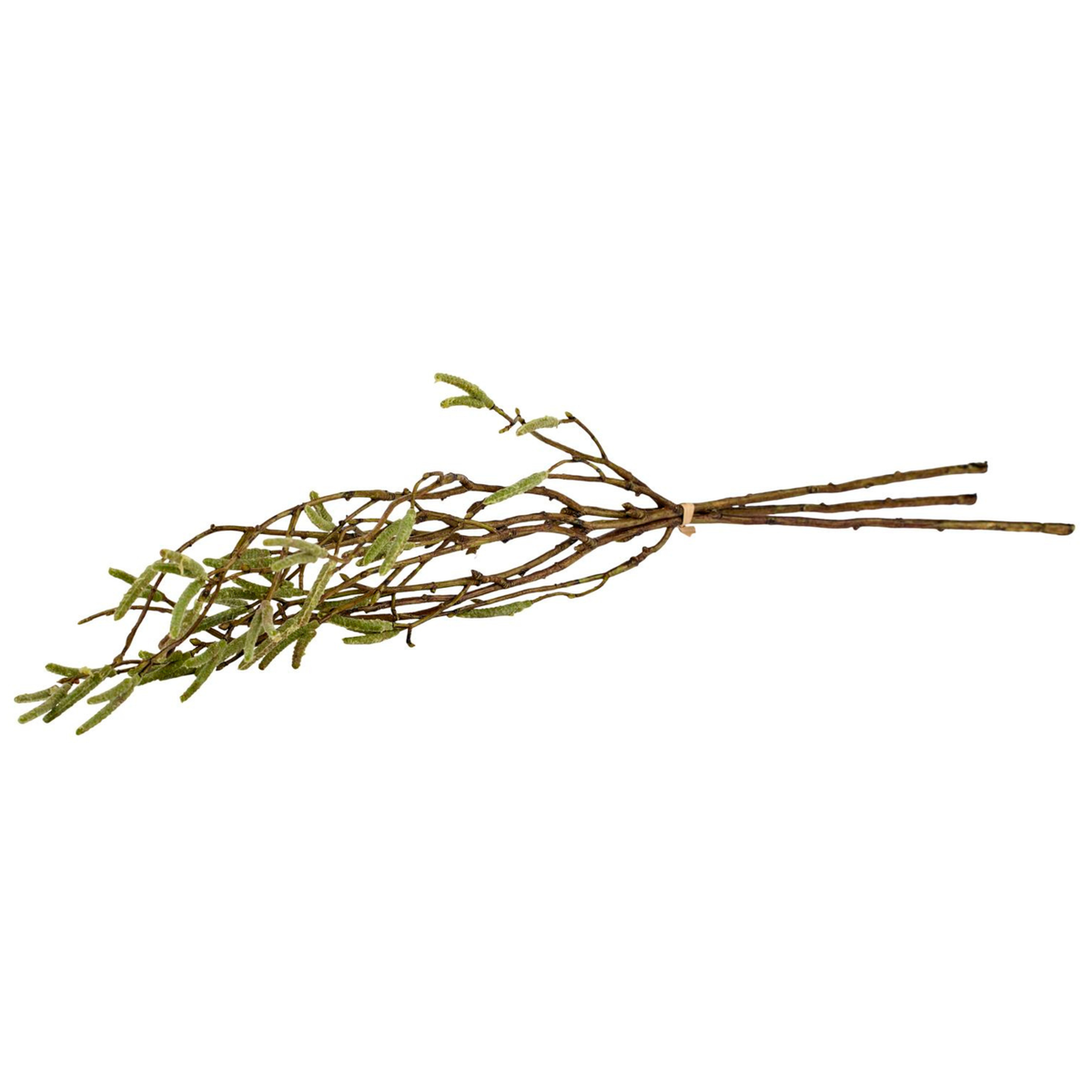 Silkeblomst Birkegren H:56 cm