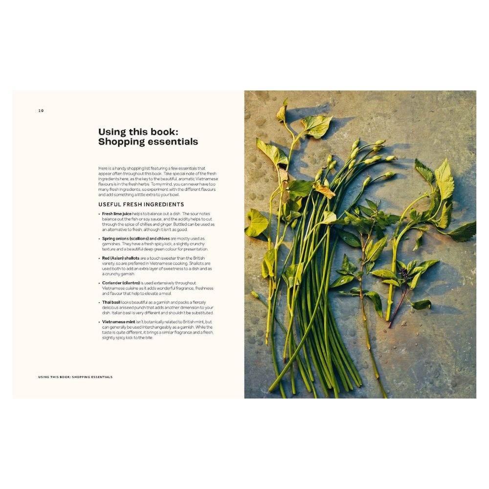 Vietnamese Made Easy