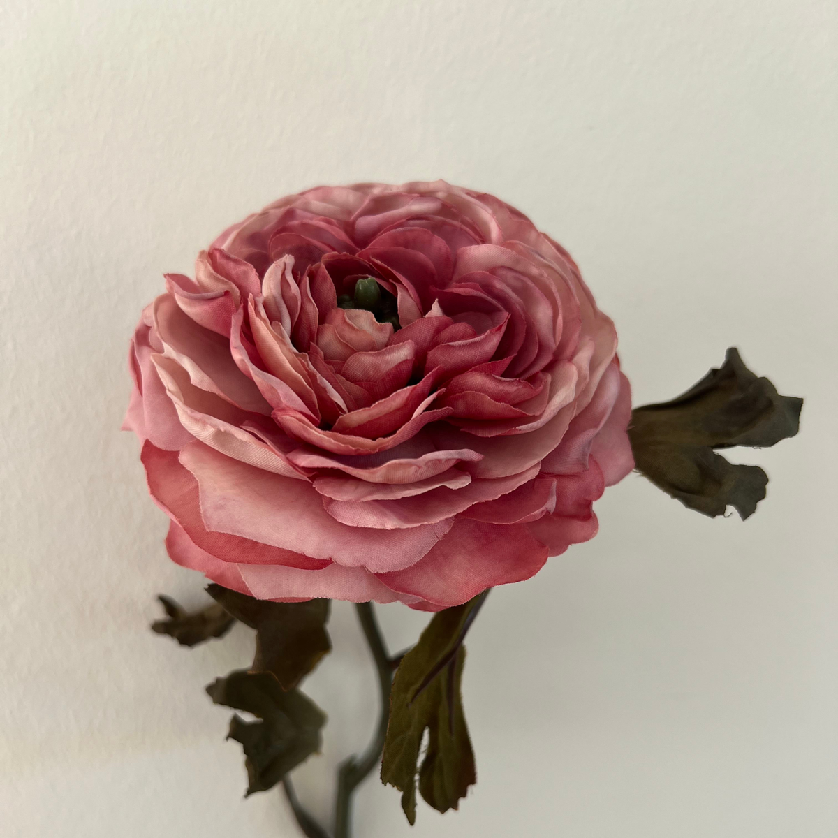 Silkeblomst Ranunkel H:39 cm Purple