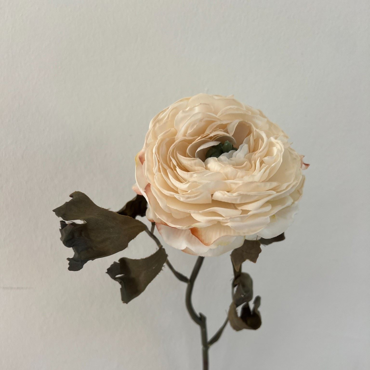Silkeblomst Ranunkel H:39 cm Cream