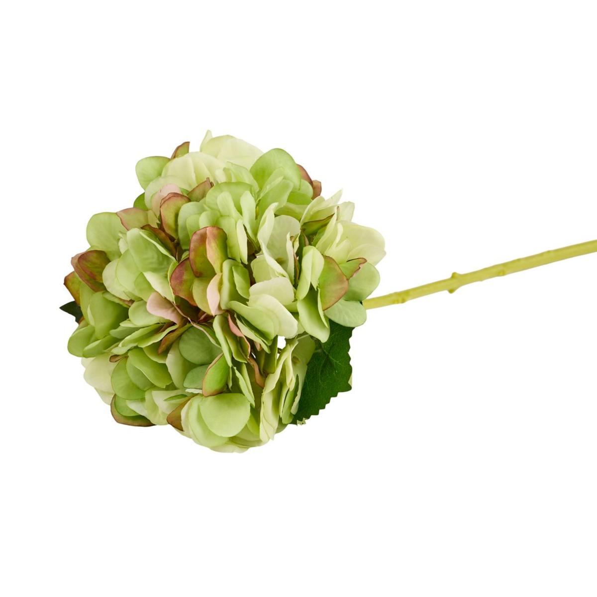 Silkeblomst Hortensia H:36 cm Grøn