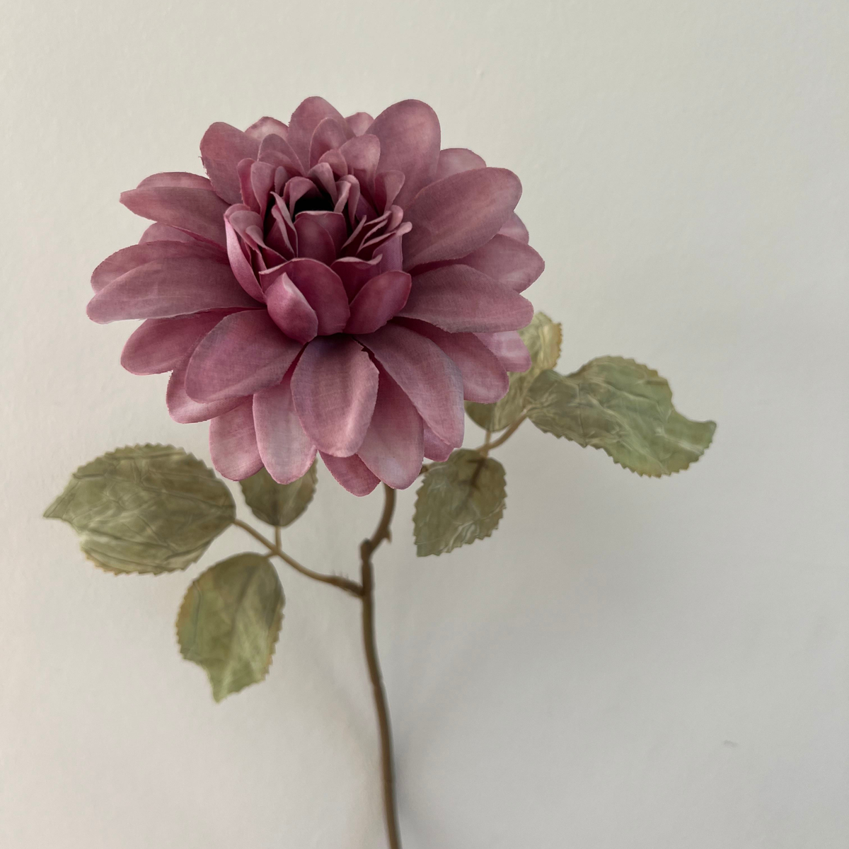 Silkeblomst Dahlia H:38 cm Purple