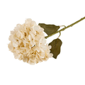 Silkeblomst Hortensia H:44 cm Hvid