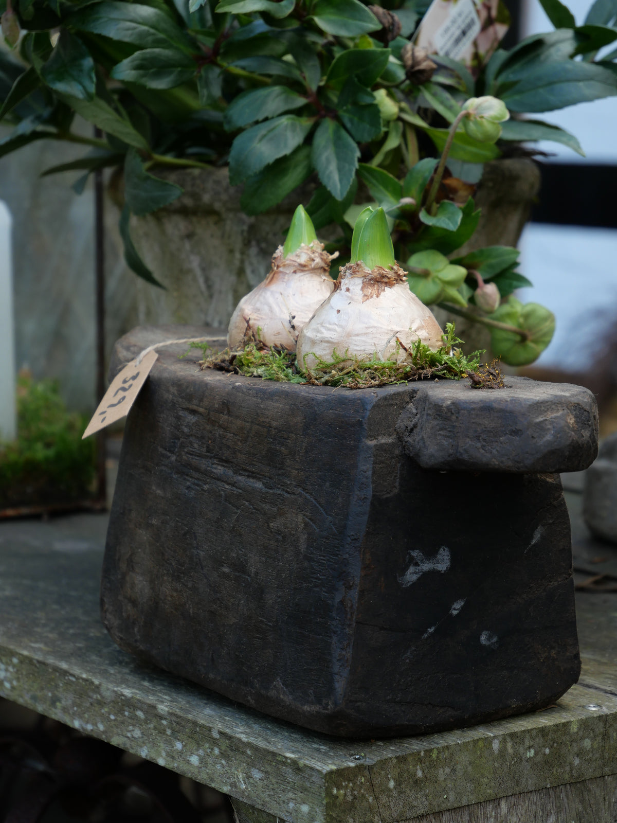 Wooden oil pot 225