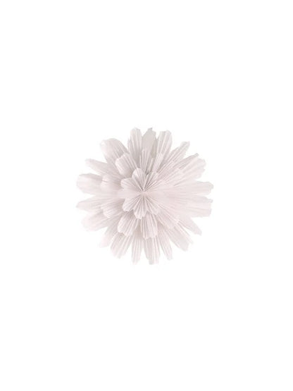 Snöblomma 44 White