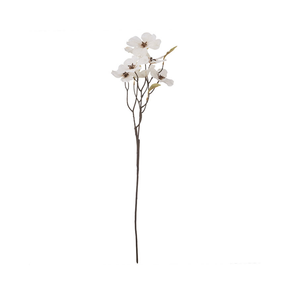 Coral Bells Flower White