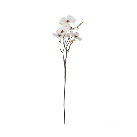 Coral Bells Flower White