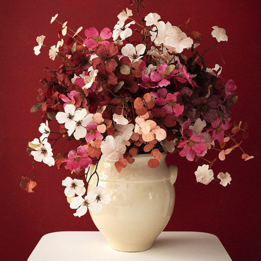 Coral Bells Flower White