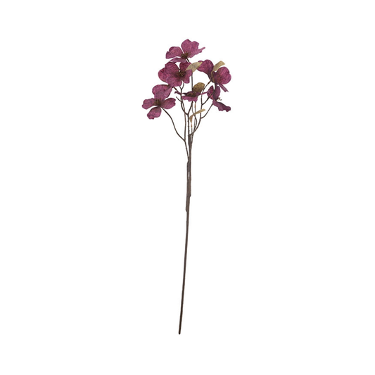 Coral Bells Flower Bordeaux
