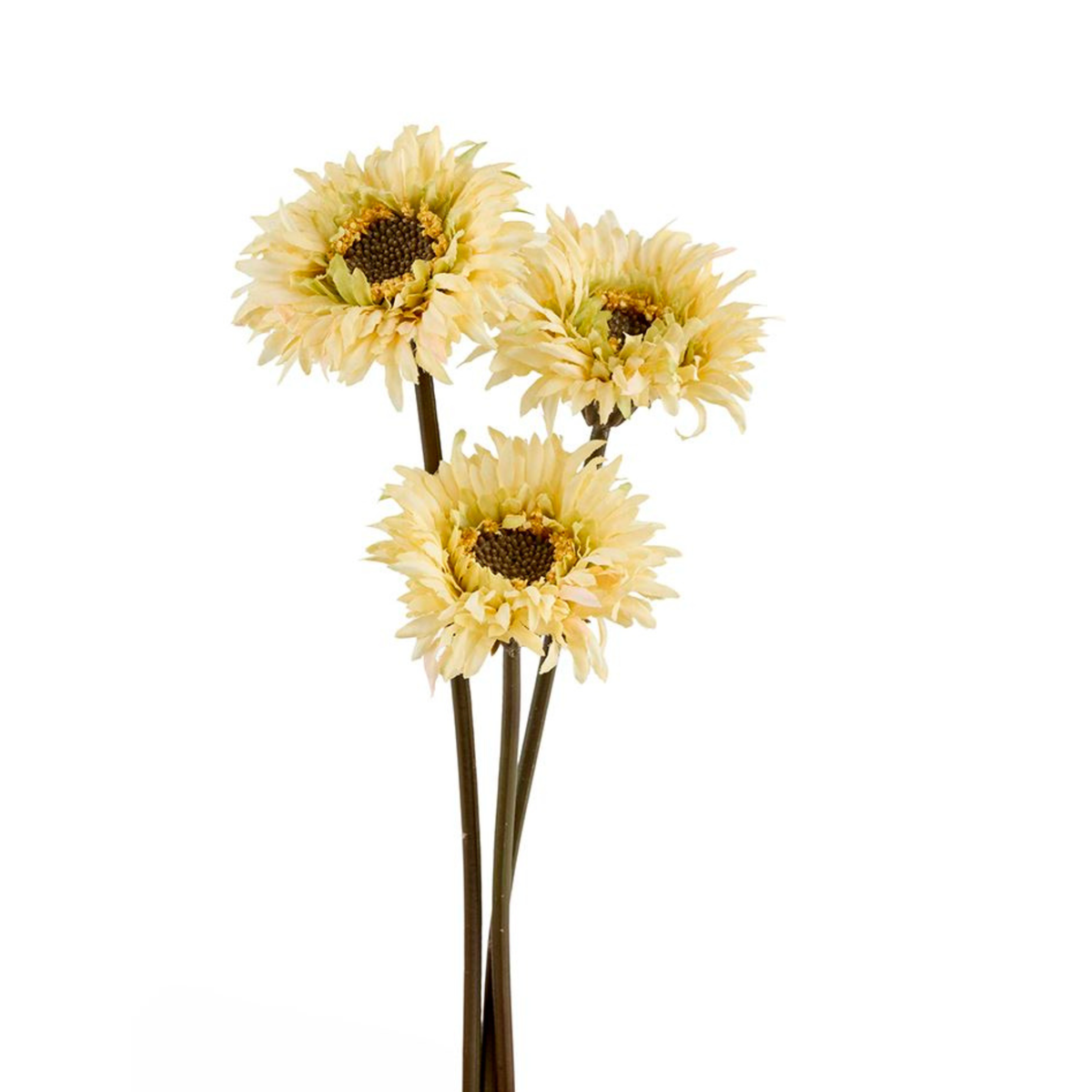 Silkeblomst Gerbera H:25 cm Gul