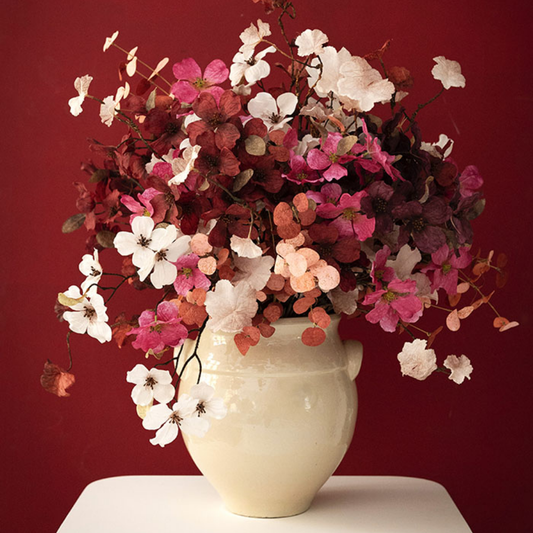 Coral Bells Flower Wine