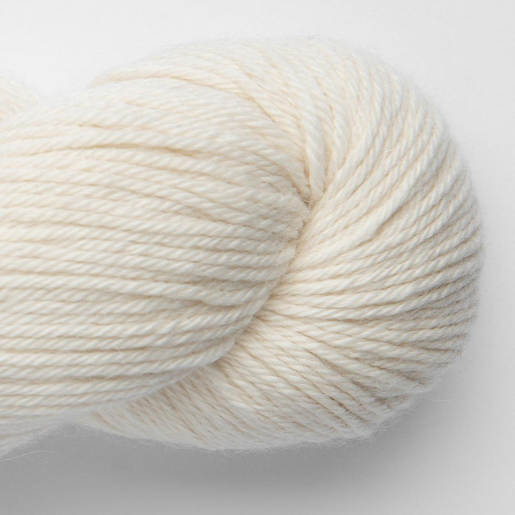 Puna baby Alpaca