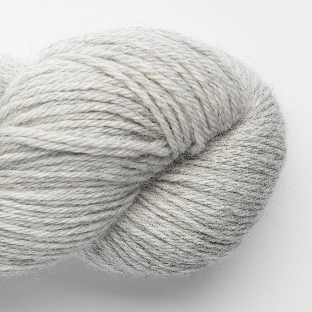 Puna baby Alpaca