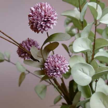 Allium Pompom Flower