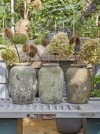 Otilia Moss Green