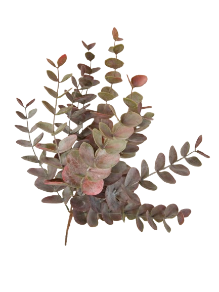 Eucalptus 40 cm Gylden/Rosa