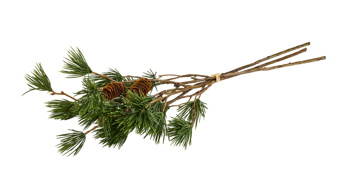 Silkeblomst Pine/kogle L:50 cm Grøn