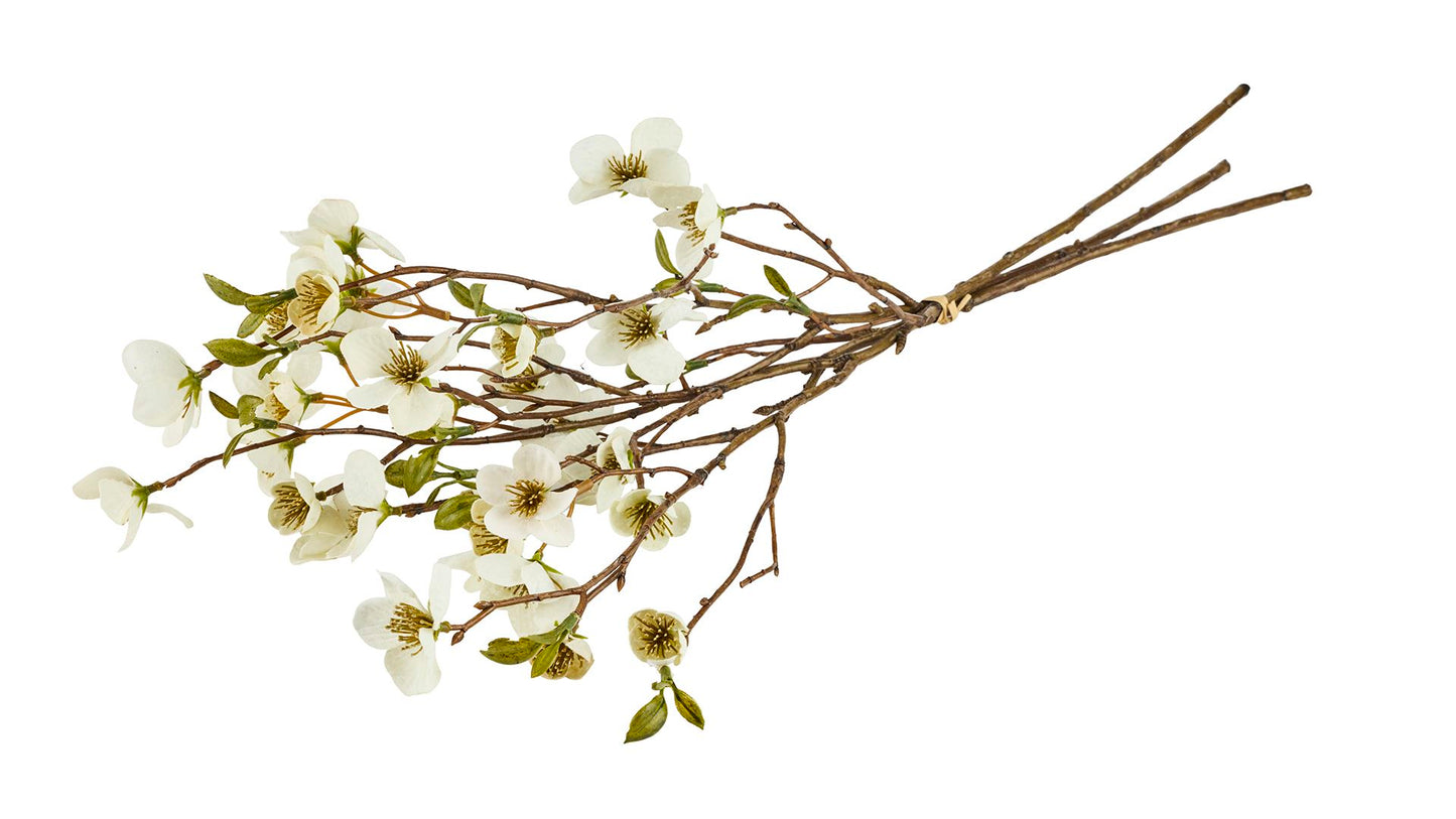 Silkeblomst Blomstergren L:53 cm Cream